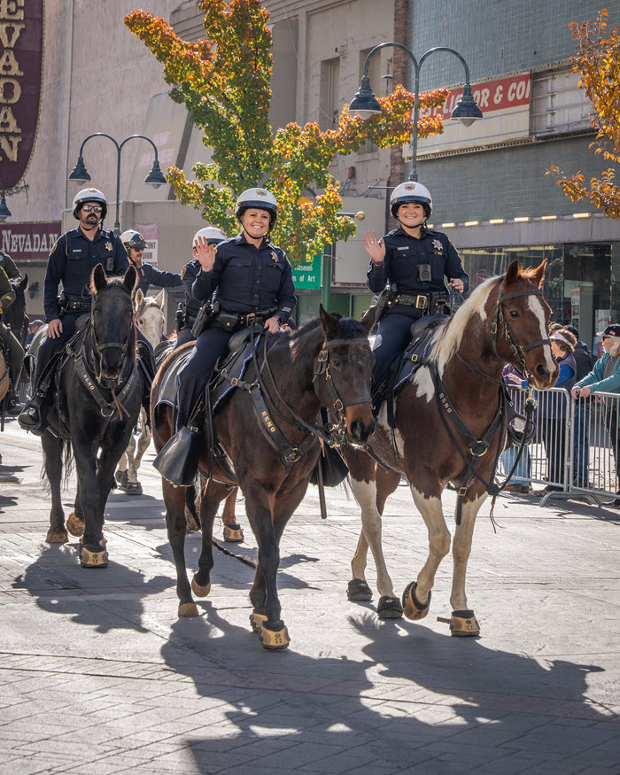 horses parade.jpg